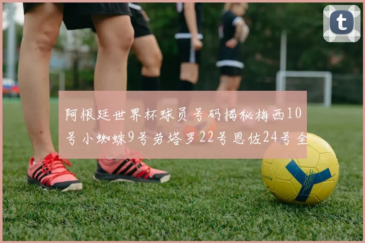 阿根廷世界杯球员号码揭秘梅西10号小蜘蛛9号劳塔罗22号恩佐24号全解析