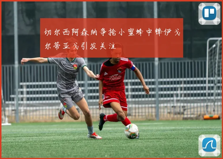 切尔西阿森纳争抢小蜜蜂中锋伊戈尔蒂亚戈引发关注